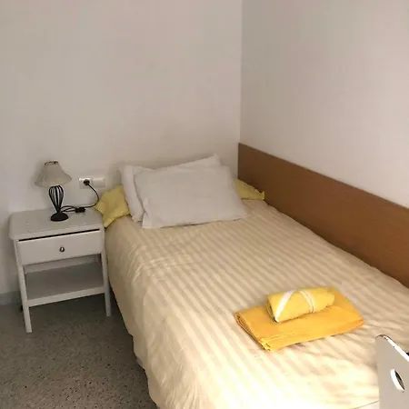 Flores Bliss 시체스